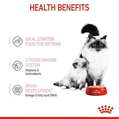 Royal canin mother & babycat mousse wet cat food