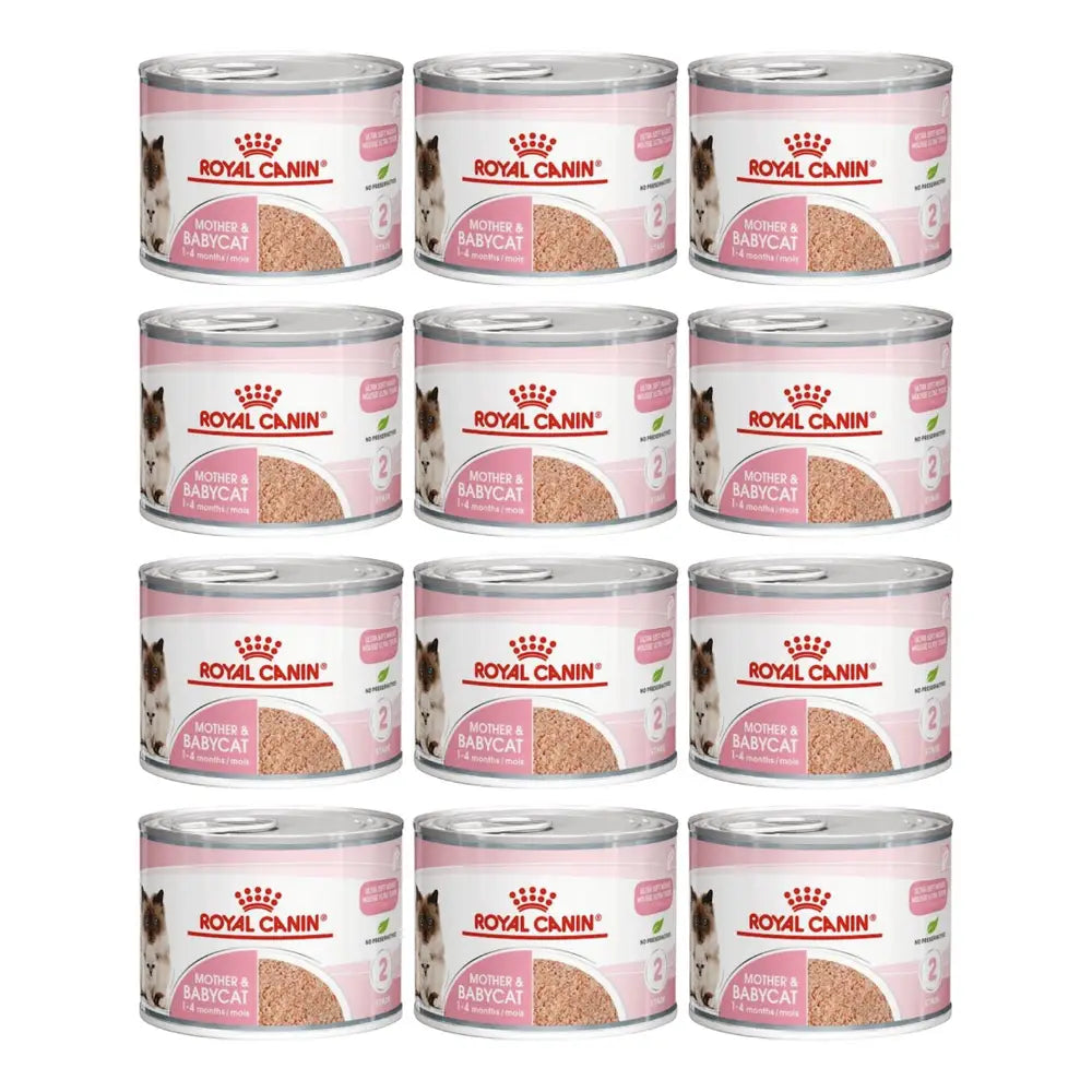 Royal canin mother & babycat mousse wet cat food