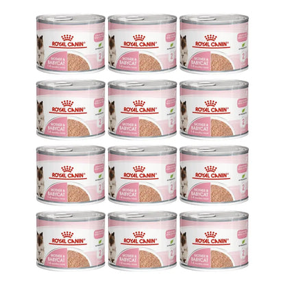 Royal canin mother & babycat mousse wet cat food