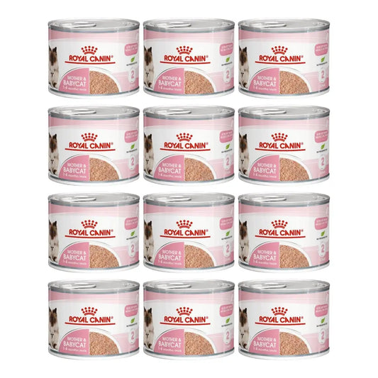 Royal canin mother & babycat mousse wet cat food