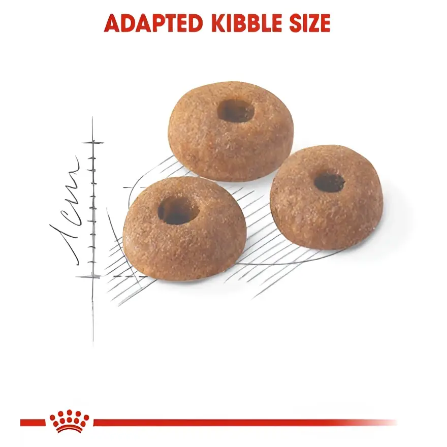 Royal canin regular fit 32 adult dry cat food