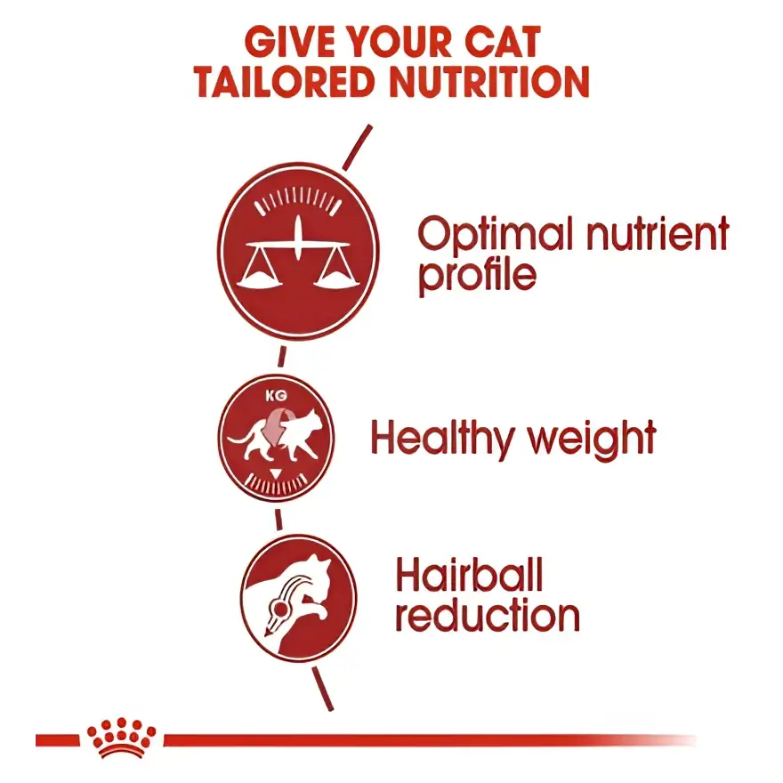 Royal canin regular fit 32 adult dry cat food