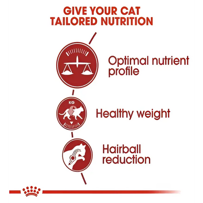 Royal canin regular fit 32 adult dry cat food