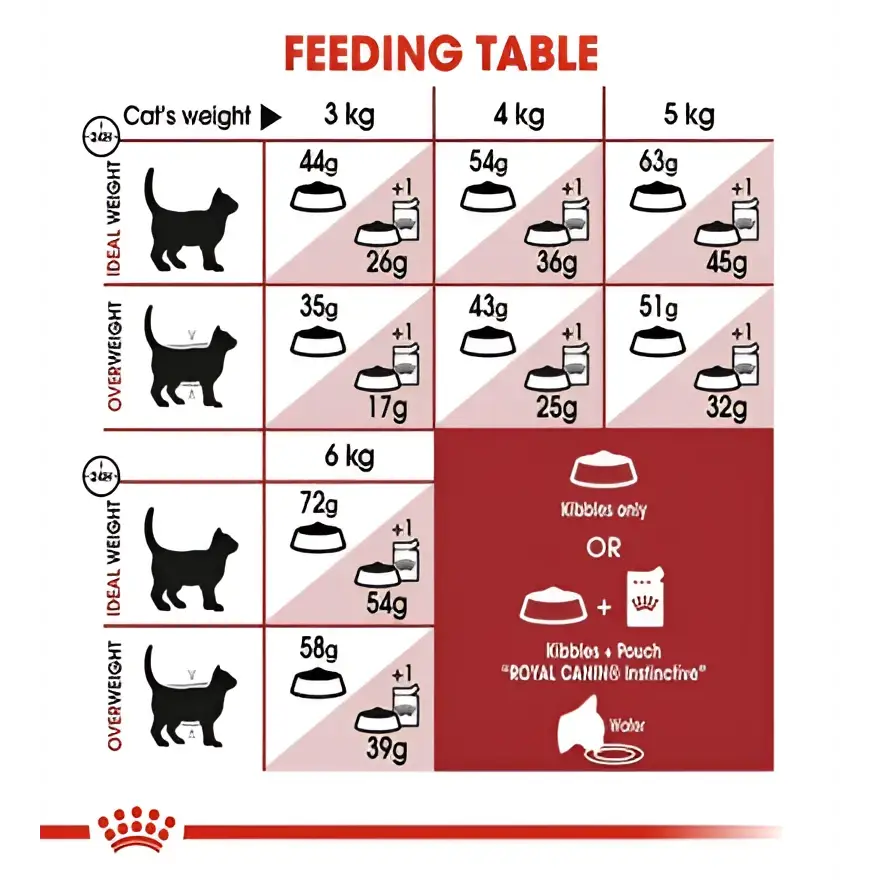 Royal canin regular fit 32 adult dry cat food