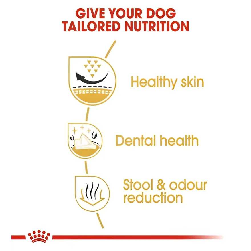 Royal canin shih tzu adult dry dog food