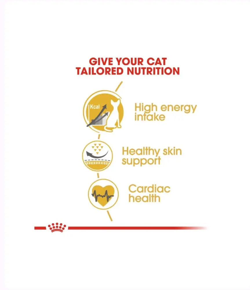 Royal canin sphynx adult cat dry food | 2kg