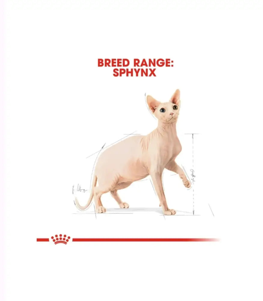 Royal canin sphynx adult cat dry food | 2kg