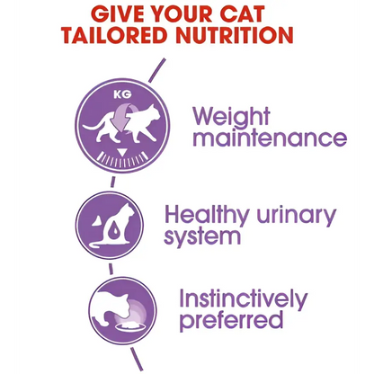 Royal canin sterilised in gravy adult wet cat food | 85g × 12