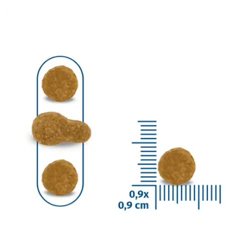 Seven cats cat food for sterilized-chicken & beef (high protein) |10kg + 100g