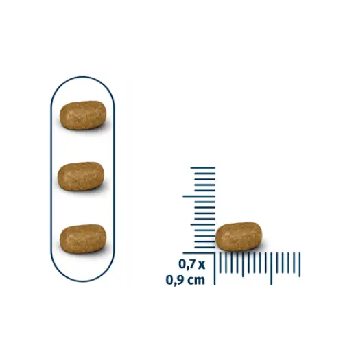 Seven cats cat food for sterilized – salmon [coat beauty] 10kg + 100g