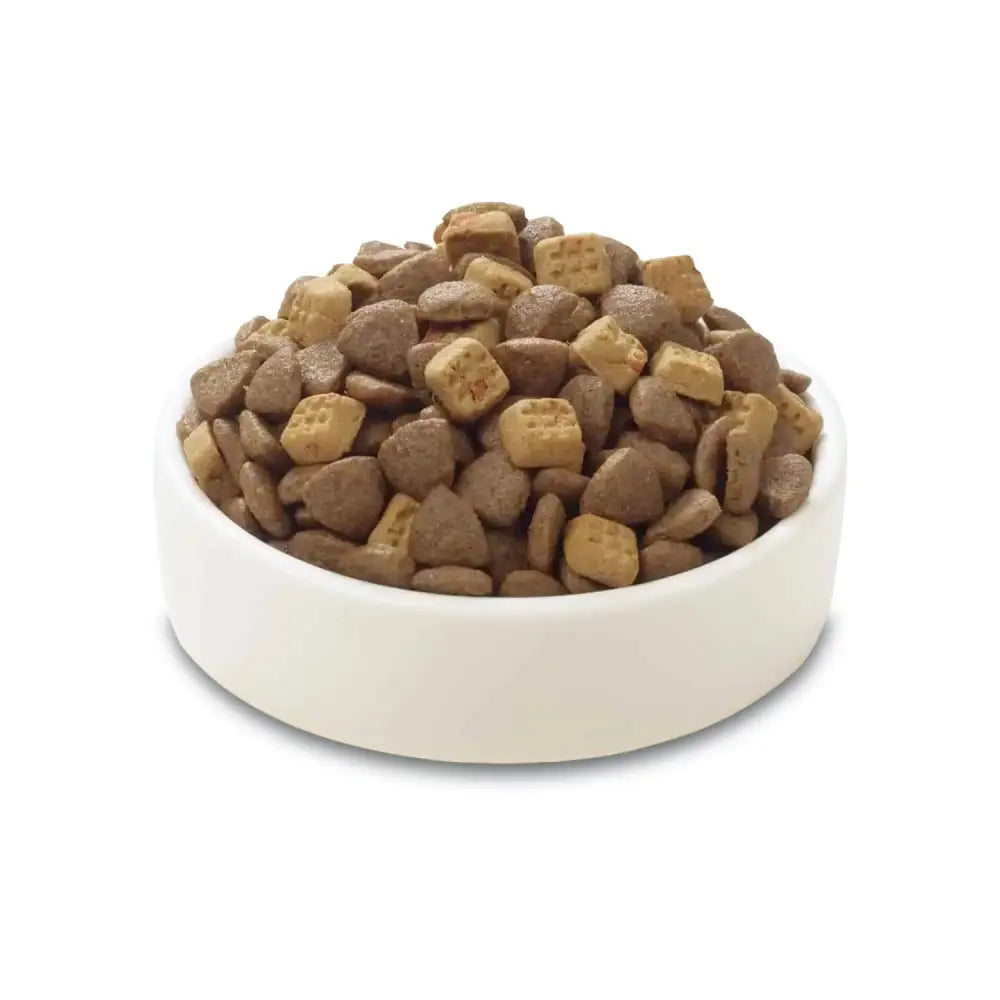 Wanpy grain free complete food for adult cat |chicken recipe