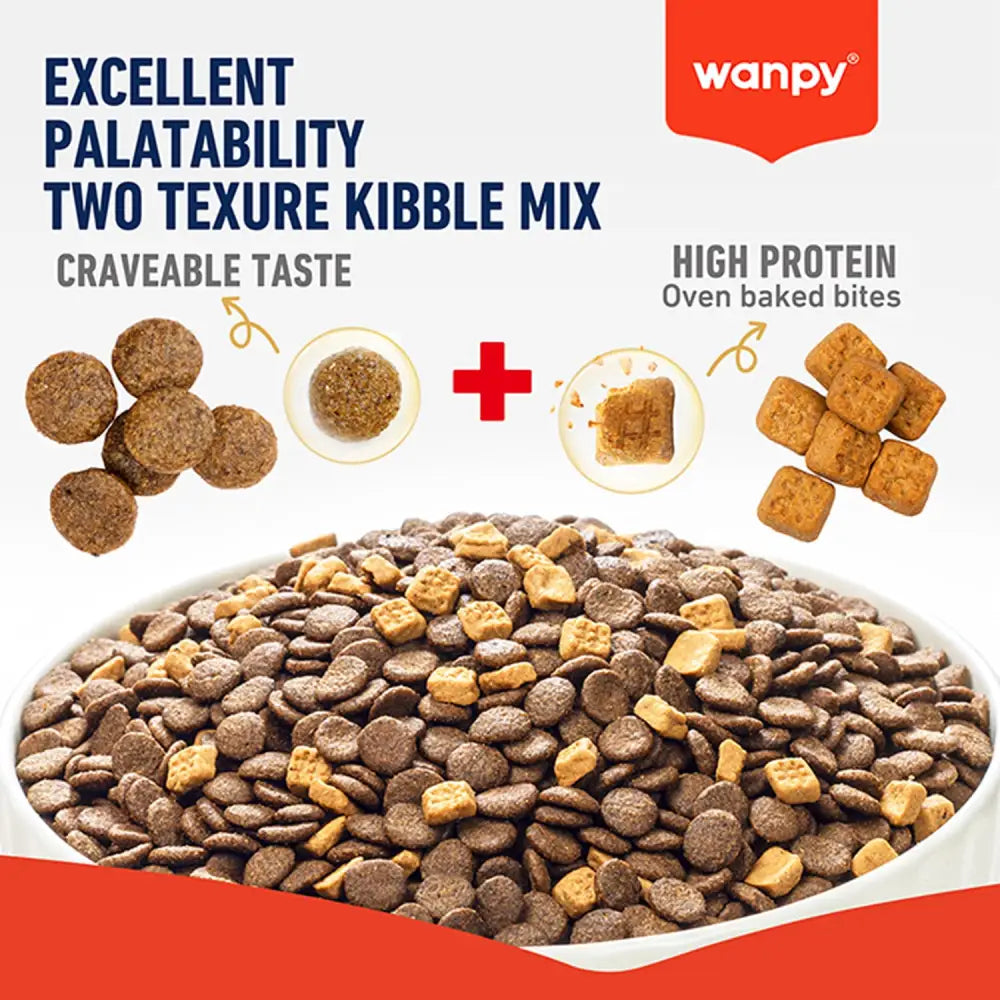 Wanpy grain free complete food for adult cat |chicken recipe